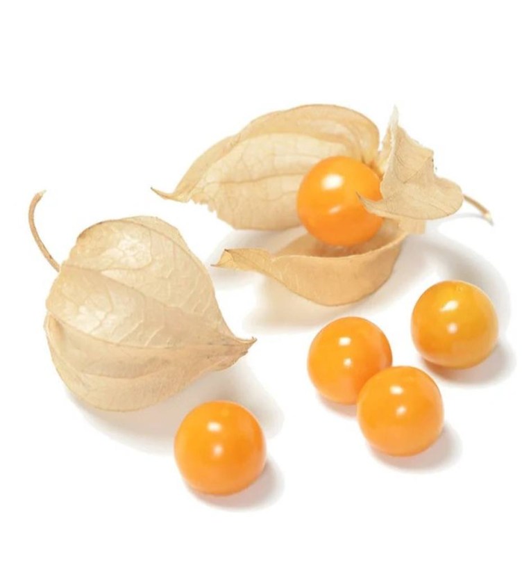 Goldmurmel földicseresznye, Physalis peruviana, padlizsán